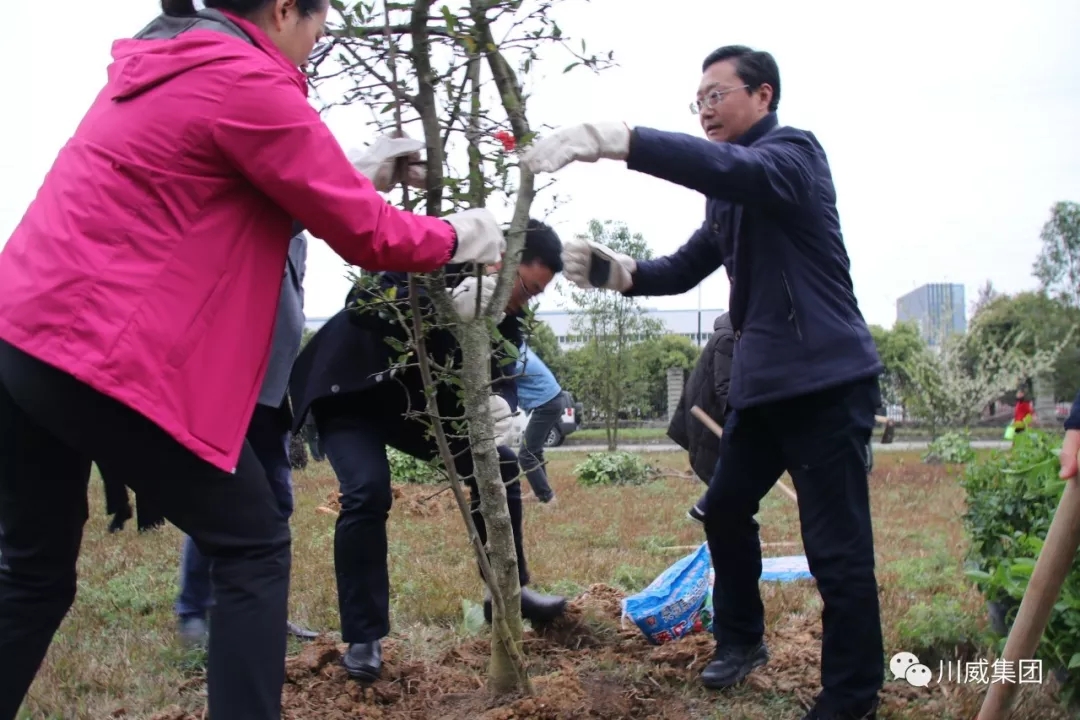 意昂2官网举办2019年植树节活动(图3)