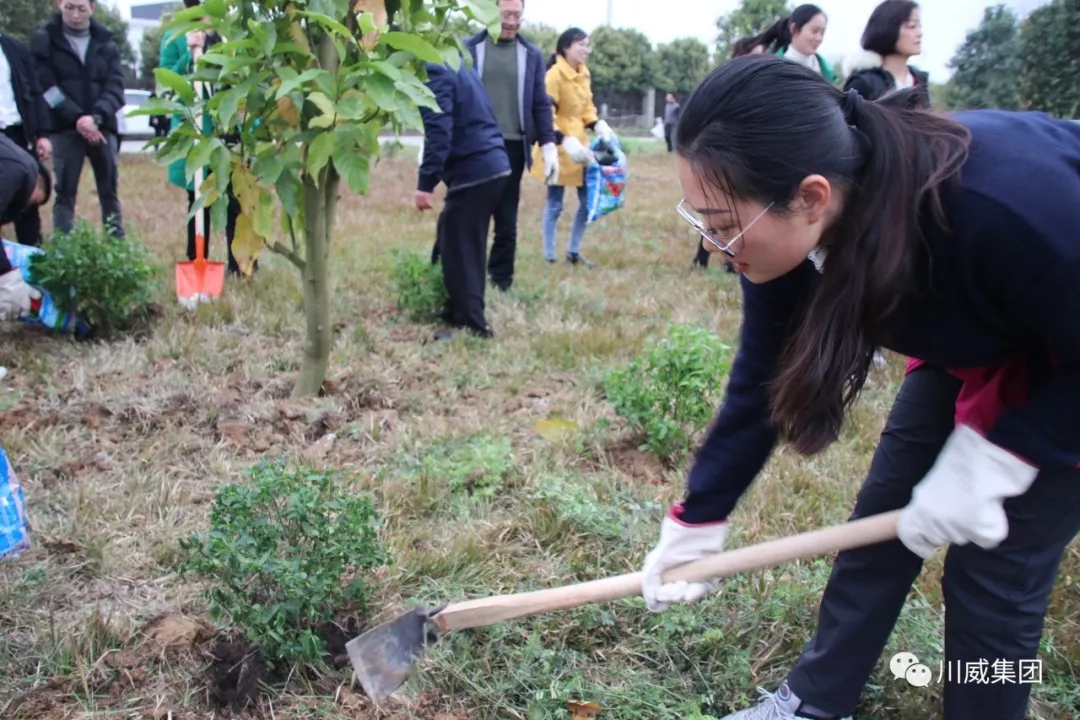 意昂2官网举办2019年植树节活动(图4)