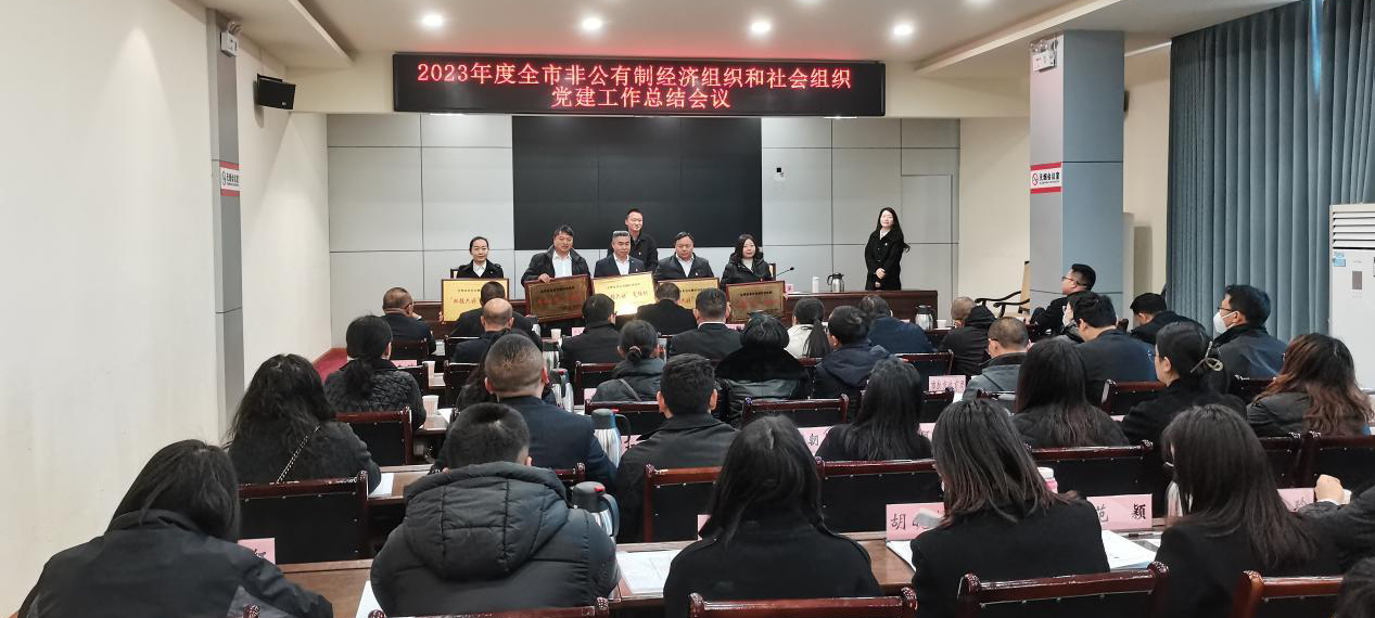 喜讯！矿业总公司财通公司党支部荣获会理市“双强六好”党组织称号(图3)